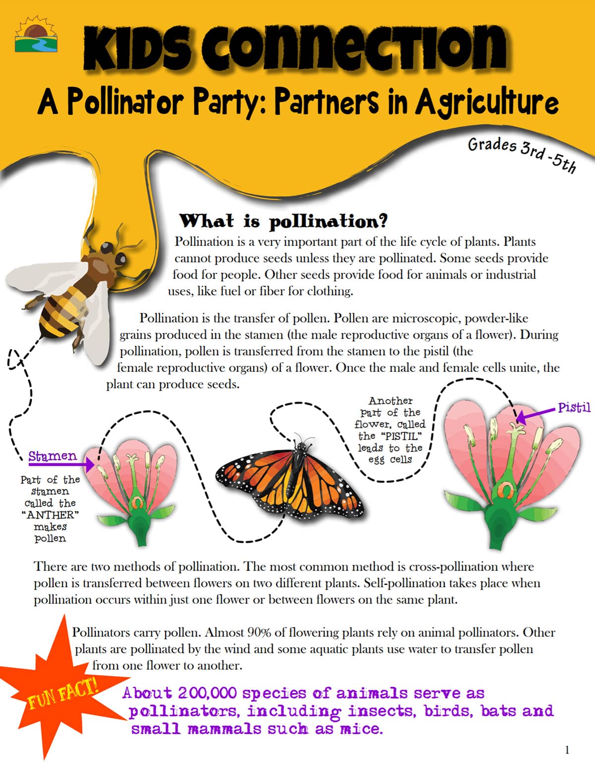 Pollinator Magazine
