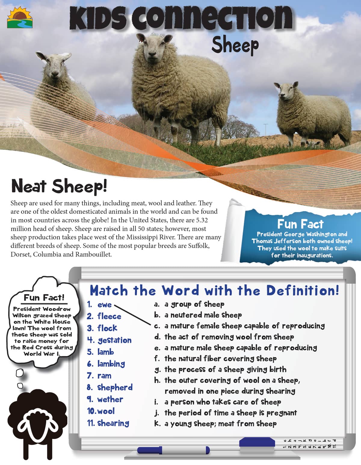 Sheep Magazine